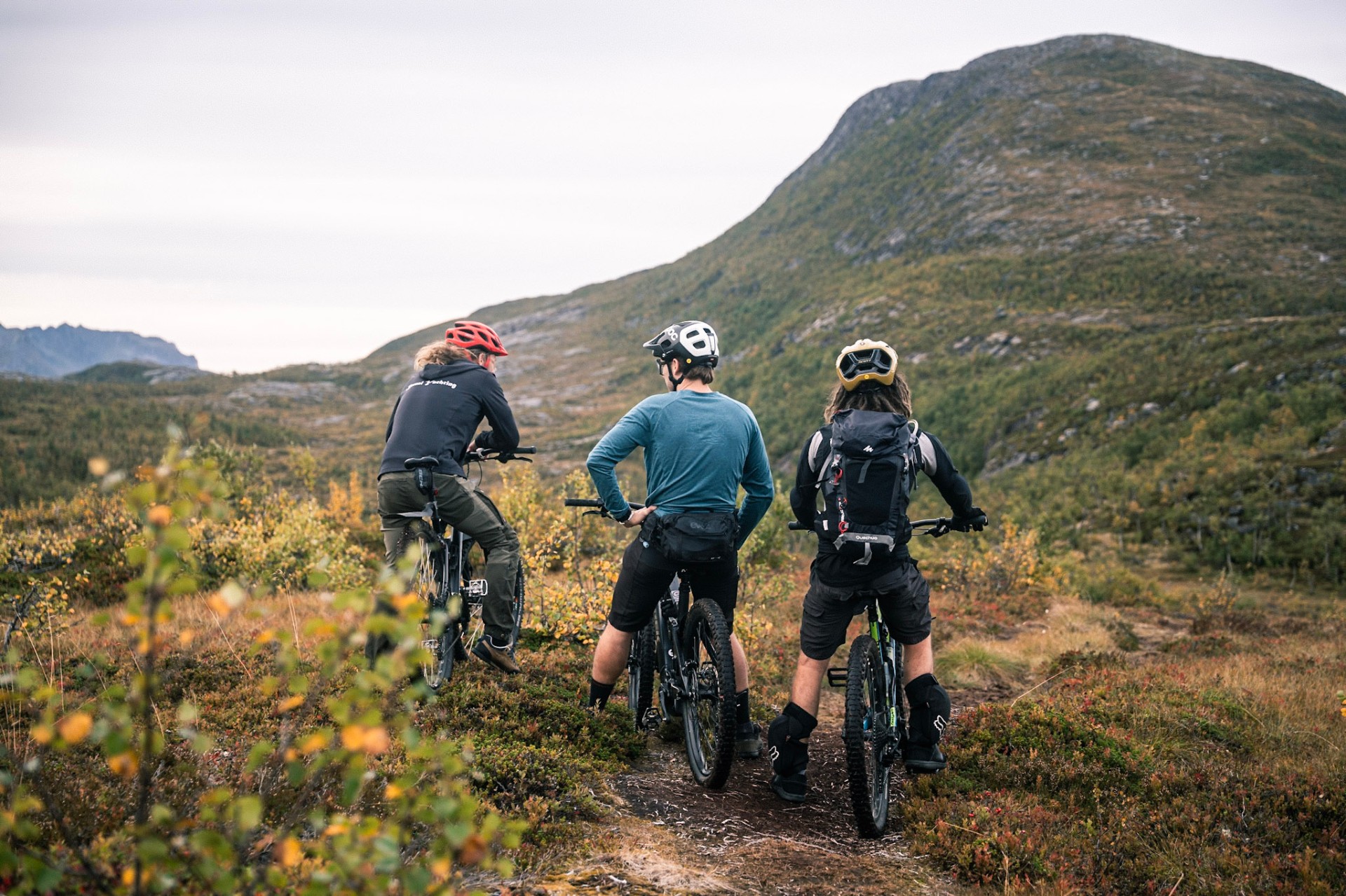 Mountainbike & Sail in Northern Norway — island trails reached by yacht