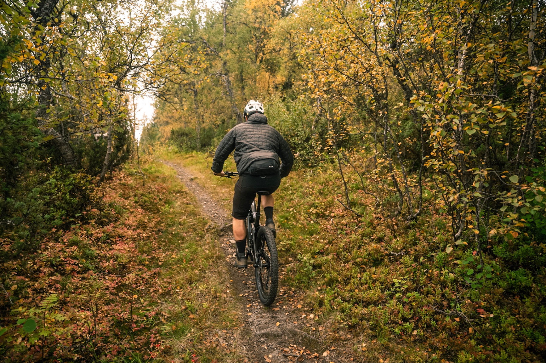 Sail & Mountainbike — Boreal Yachting