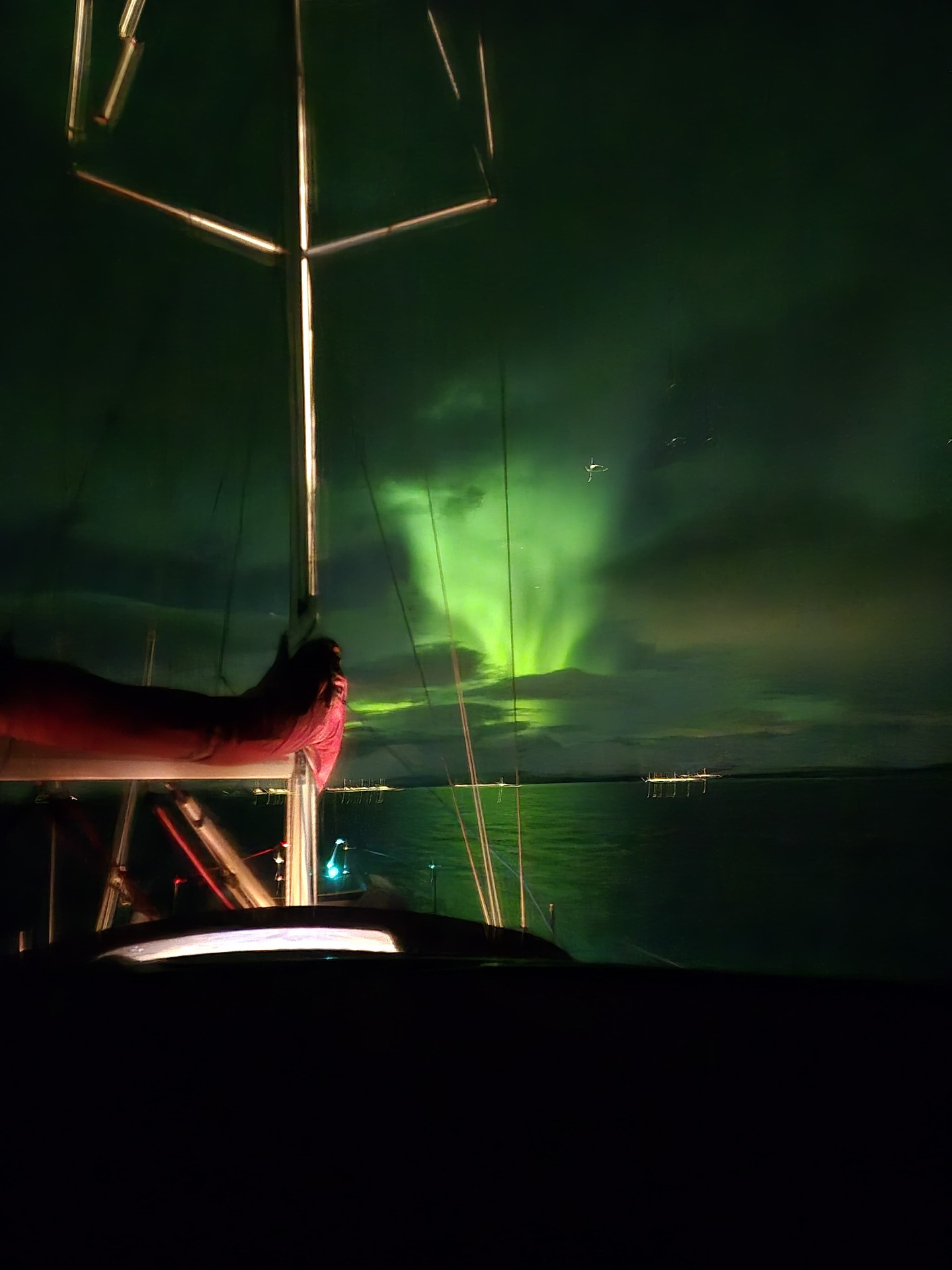 Whalesafari & Aurora — Boreal Yachting